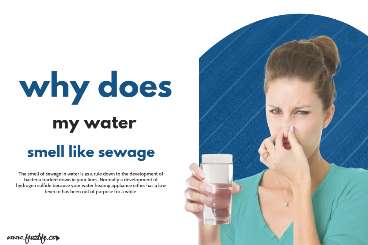 Why does my water smell like sewage Frizzlife