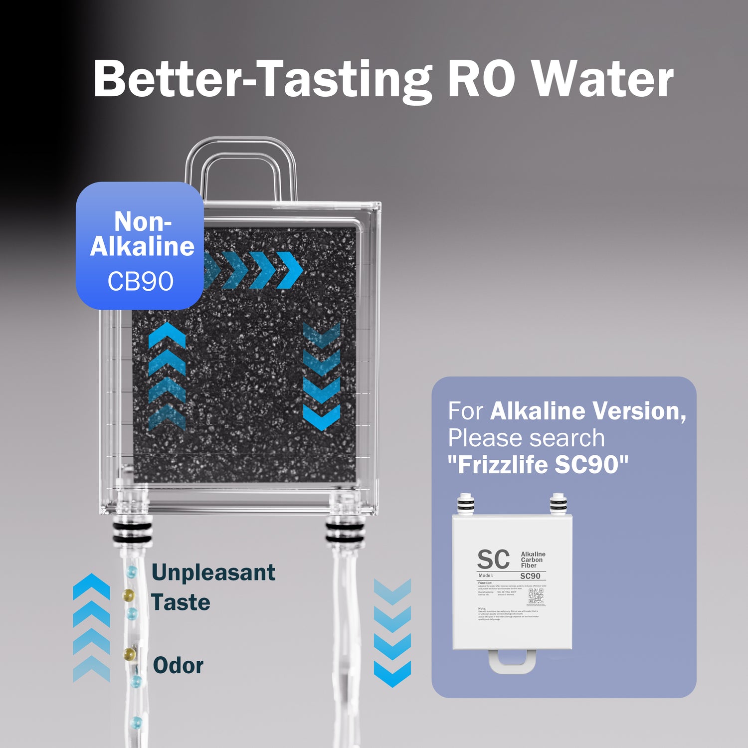 Cartouche de filtre post-filtre non alcaline de remplacement Frizzlife CB90 pour système de filtration d'eau par osmose inverse de comptoir WB99