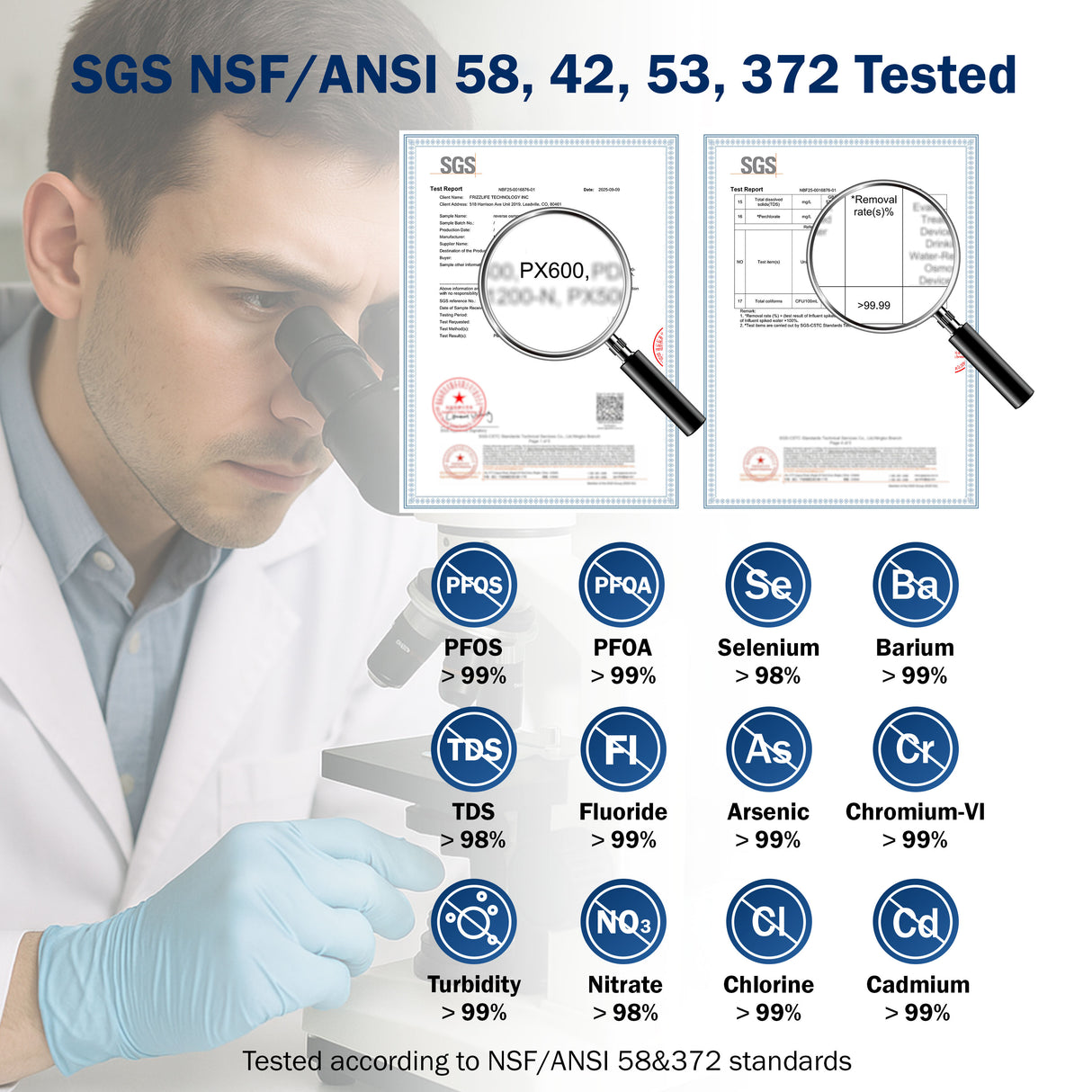 Frizzlife 600 GPD Tankless Reverse Osmosis System, PX600-Black