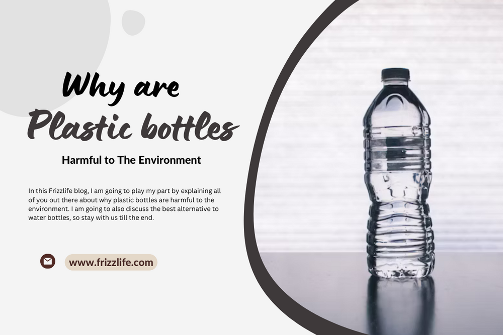 Why are Plastic Bottles Harmful to The Environment Frizzlife