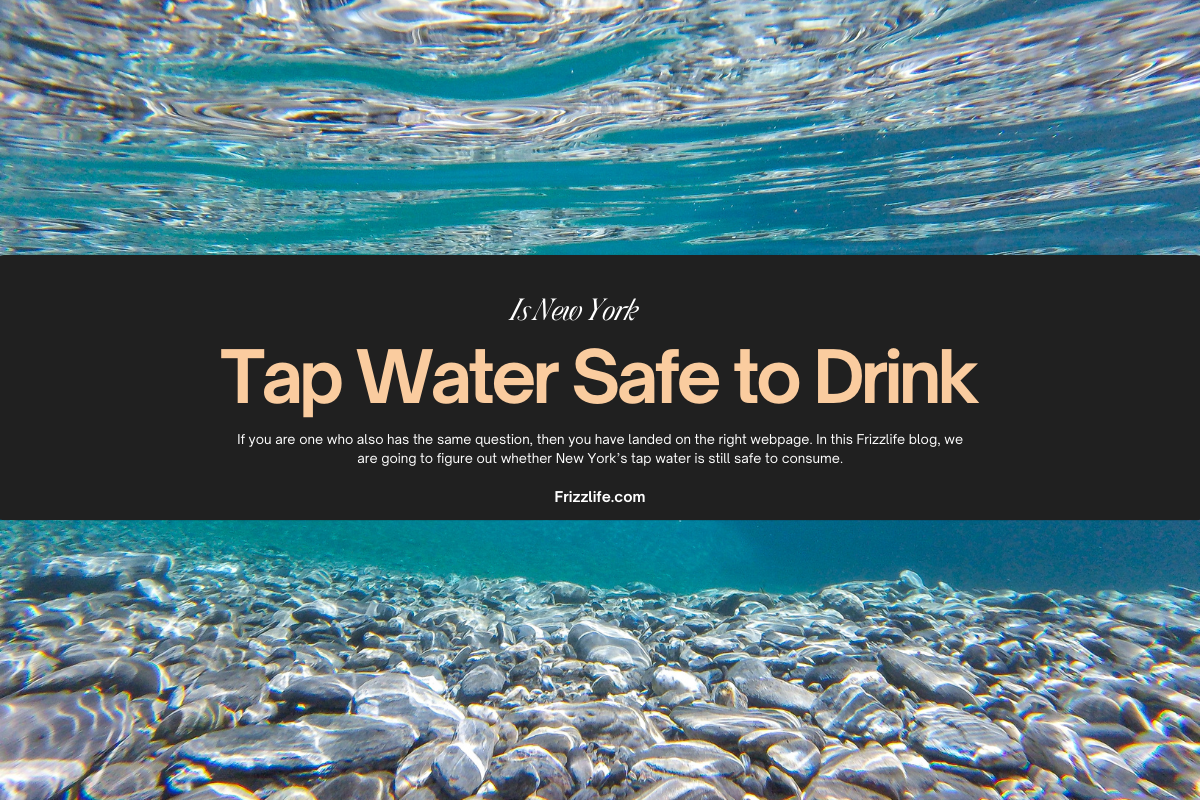 Is New York Tap Water Safe to Drink Frizzlife