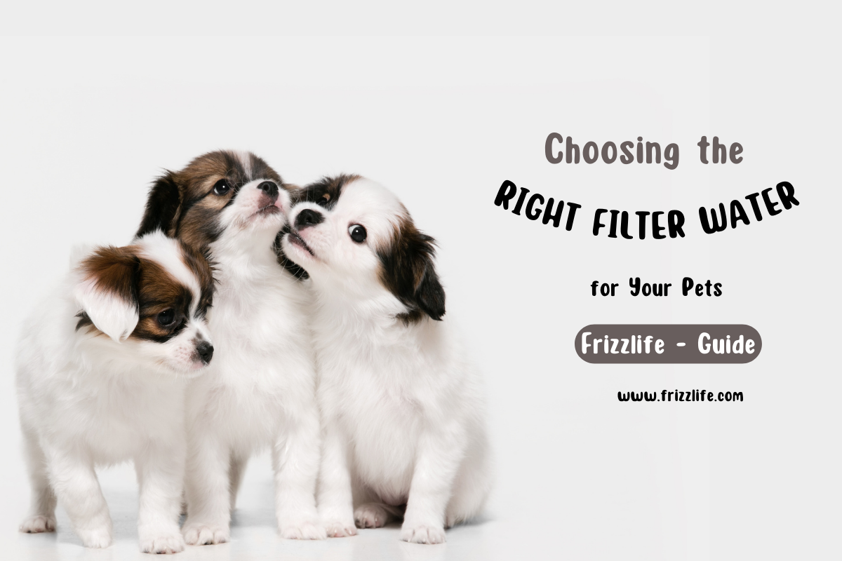 Best Water Filters for Your Pets' Health – Frizzlife