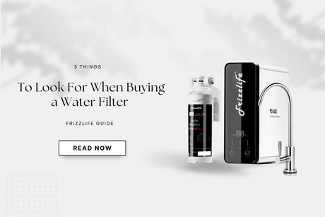 5 Things To Look For When Buying a Water Filter