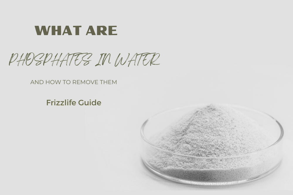 What are Phosphates In Water and How to Remove Them – Frizzlife
