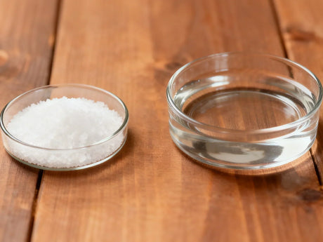 salt from water