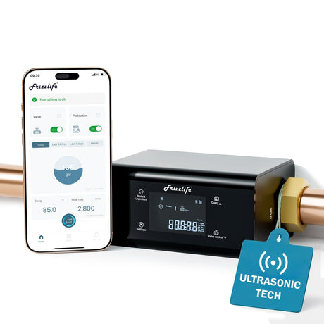 Frizzlife LP365 flow and temperature smart water monitor with automatic shutoff