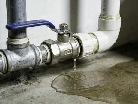 shutting off water for vacation