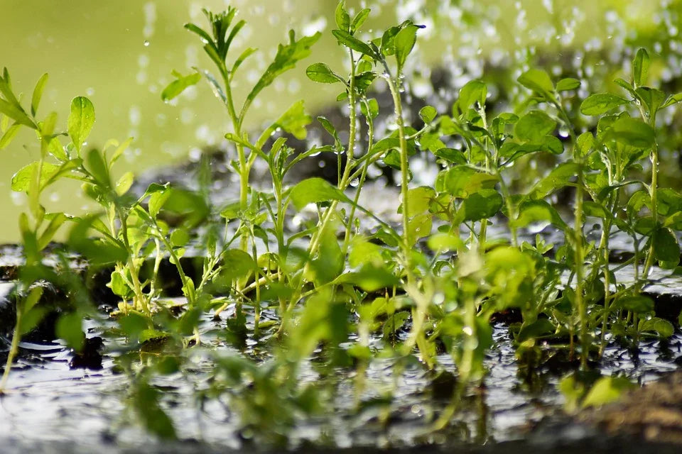 ferm living plant box groß Plant Box main image 0