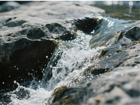 Raw Water