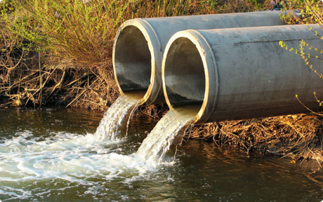 Why humans can't drink dirty and contaminated water