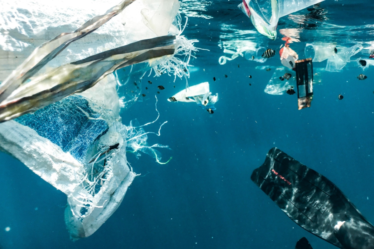 Plastic Pollution -Major Causes & Solutions