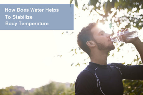 How Does Water Help To Stabilize Body Temperature