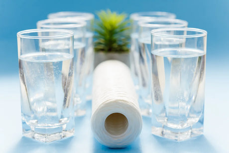 Glasses of purified water with a sediment filter cartridge, representing clean filtered water options between RO and distilled types.