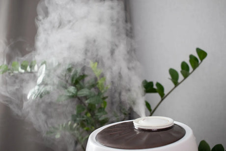 Humidifier emitting steam, highlighting the importance of using RO water to avoid white dust.