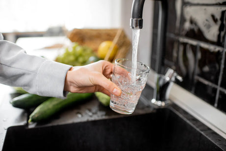 Exploring the critical connection between water filtration, daily hydration, and cognitive function, and how high-quality filtered water supports long-term brain health and mental performance.