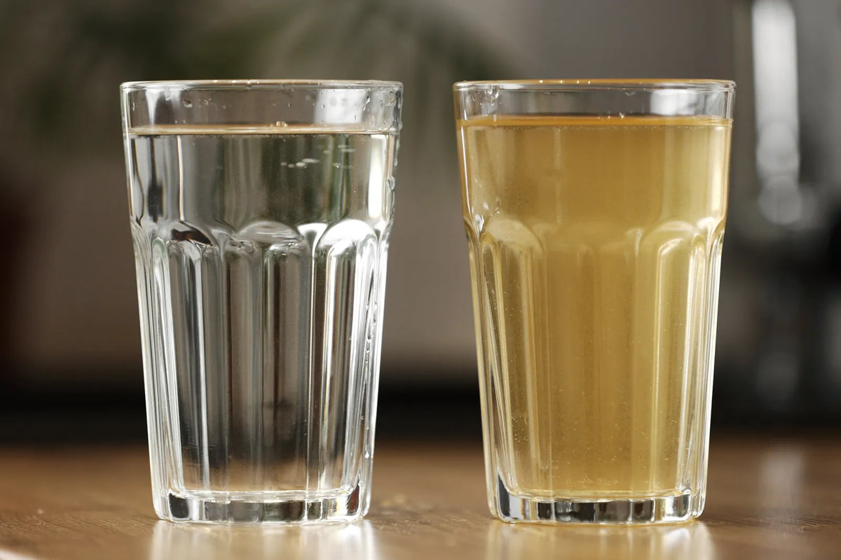 Why Is My Tap Water Yellow? Causes & How to Fix Yellow Colored Water ...