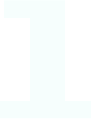 stpe-1