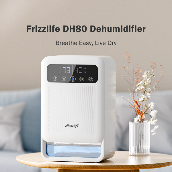 Frizzlife TD-9 de Patroon van de Vervangingsfilter voor TD-9, de Frizzlife TD-9 de Patroon van de Vervangingsfilter voor TD-9, de