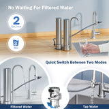 Frizzlife DS99 Countertop Water Filter System, Stainless Steel