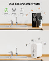 Frizzlife 1000GPD Reverse Osmosis Water Filter, NSF/ASNI 58&372 Standard, Alkaline Mineral pH+ Reverse Osmosis, 9-Stage Filtration Tankless RO, 2:1 Pure to Drain, Under Sink, Smart Faucet, PD1000-N