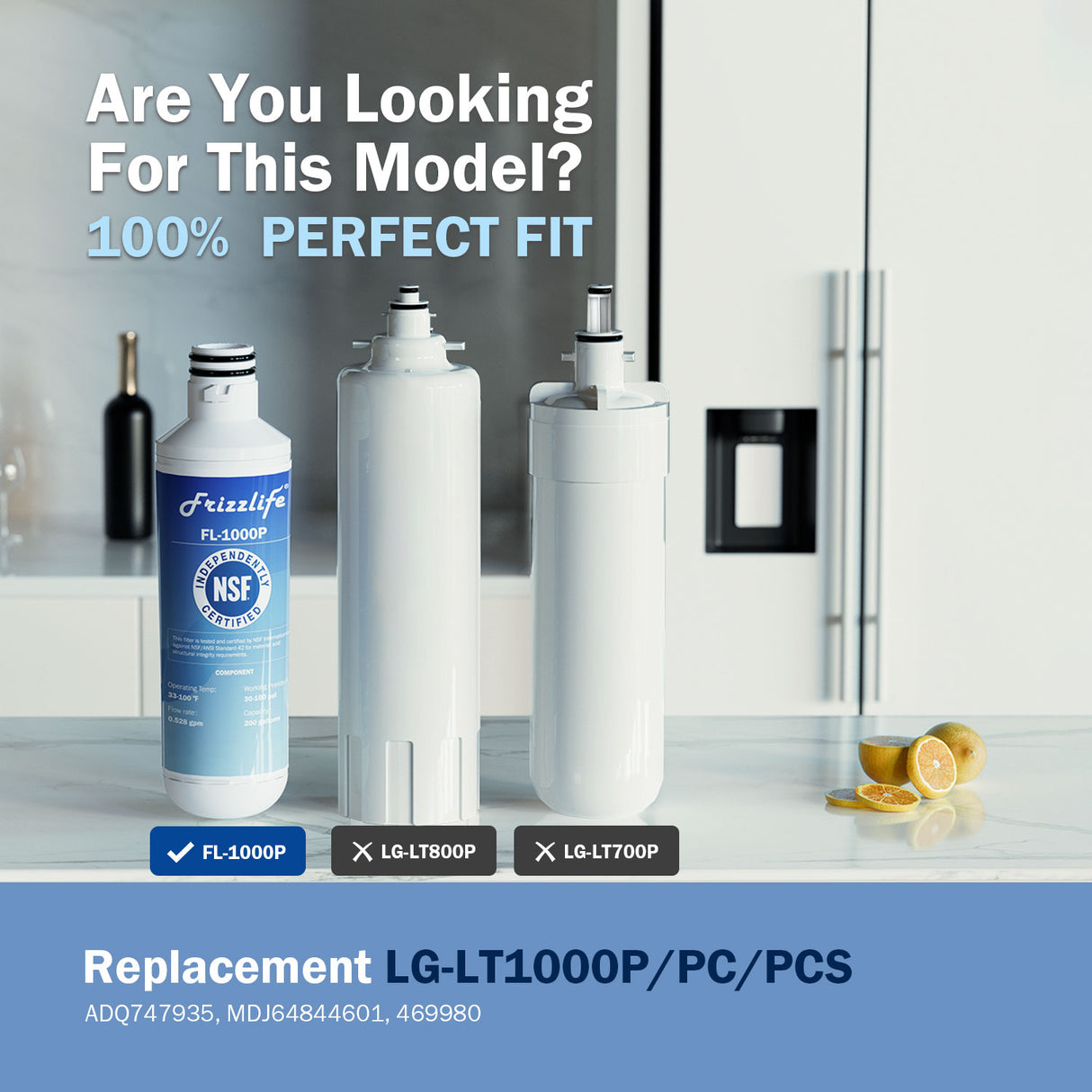 Frizzlife LT1000P Refrigerator Water Filter Replacement for LG LT1000P/PC/PCS, ADQ74793501, ADQ75795105, AGF80300704, NSF Certified Fit the Original Brand, Leak-proof Design