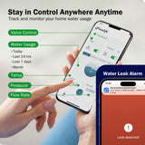 Frizzlife LP365 Smart Water Monitor and Automatic Shutoff Sensor,LP365