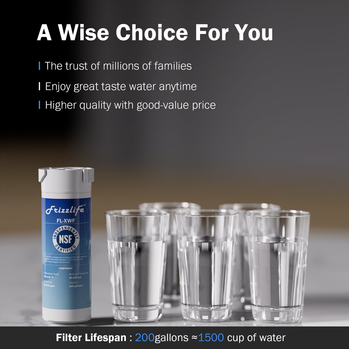 Frizzlife XWF(NOT XWFE) Refrigerator Water Filter Replacement for GE XWF, NSF Certified Fit the Original Brand, Leak-proof Design