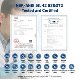 Frizzlife 600 GPD Système d'eau par osmose inverse sans réservoir avec alcaline et reminéralisation, PD600-TAM3 