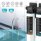 Frizzlife DW15 Système de filtre à eau sous évier, éléments certifiés NSF/ANSI 53 et 42, filtre à eau Connect à 2 étapes