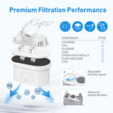 Frizzlife FP40 Pichet de filtre à eau, grand système de purificateur de 10 tasses avec rappel de durée de vie du filtre